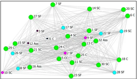 Figure 4. Sociometric graph “Educational Activities” 1 = no activity (red color); 2 = low importance (black color); 3 = medium-low importance (pink color); 4 = medium-high importance (light blue color); 5 = high importance (green color)