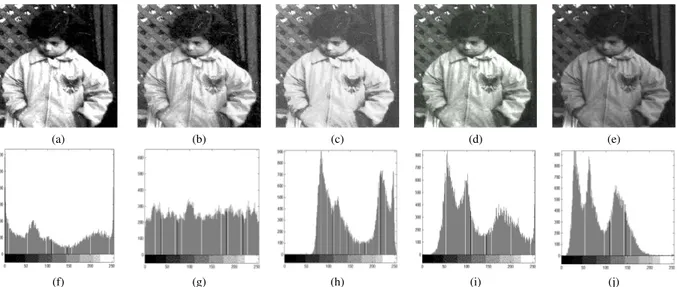 FIGURE 5. CE of Image 1 by means of (a) Prop. Proc., (b) HE , (c) R, (d) P and (e) C , and their histograms from (f) to (j), respectively.