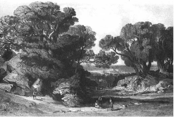 Figura 11. Edward Lear, veduta della foresta di Pietrapennata, litografia (Lear 1852, tav