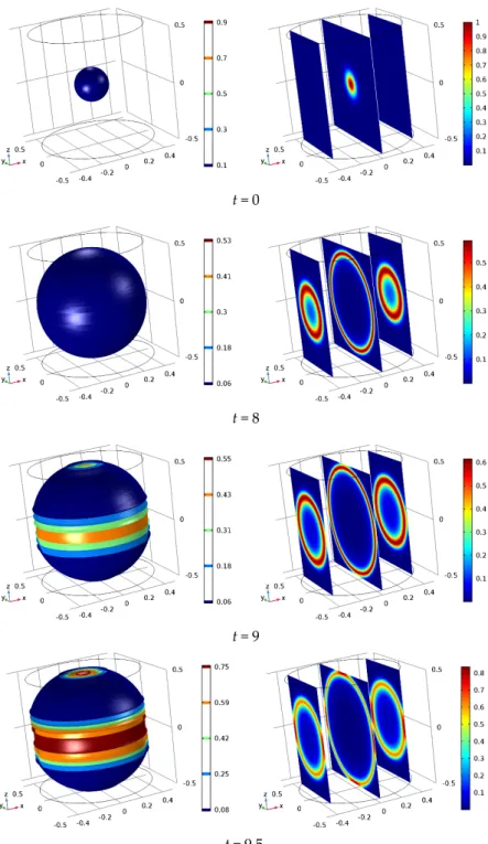 Figure 1. Cancer cell distribution inside the simulated domain during the time evolution, without applied electric field