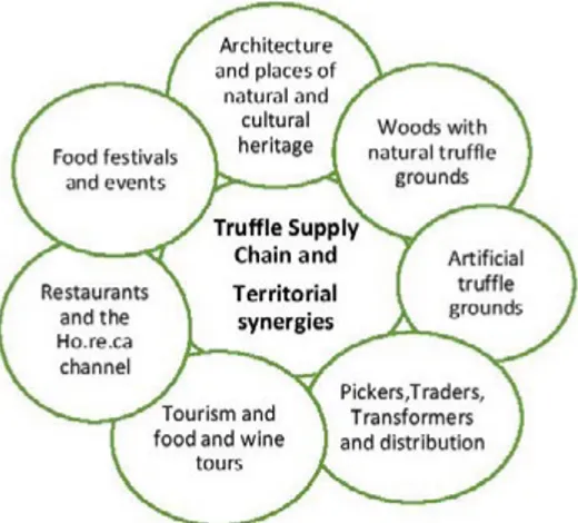 Figure 1. Key aspects and synergies of the truffle supply chain in  Calabria (author A