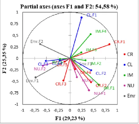 Figure 4. Representation of the projections of the partial axes in the F1 and F2 axes