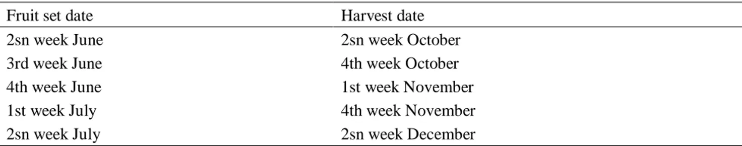 Table 1. Harvest time effected when the fruit had accumulated 1500 Degree Days from fruit-set date