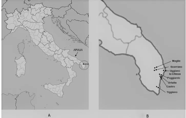 Figure 1. Map of the Salento Peninsula (A) showing the surveyed area and the location of the municipalities (B) where oak stands were  assessed for the presence of Phytophthora cinnamomi.