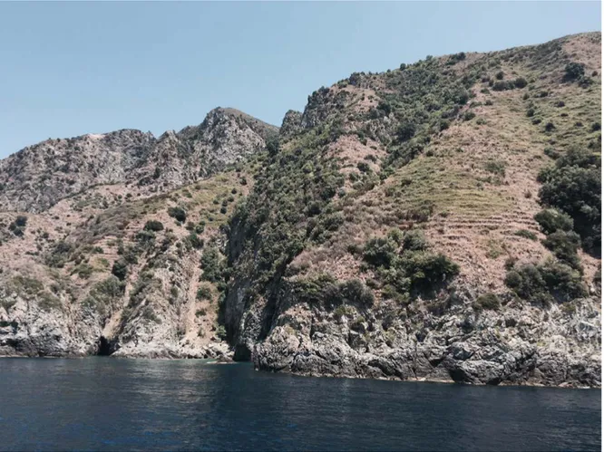 Figura 4. I versanti terrazzati della Costa Viola (foto C. Fallanca).