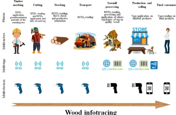 Figure 1. Wood infotracing phases and relative multi-actors, multi-tags and multi-devices: in the  timber marking phase the application of the first RFID (RFID1) above the cut and its first tag  association with information on the database was achieved; in
