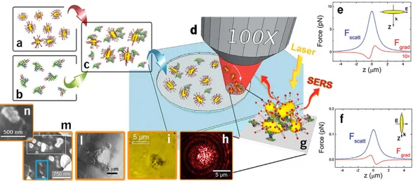 Figure 1.  LIQUISOR concept. (a) The LIQUISOR employs gold NRs (35 nm diameter, 90 nm length), capped 