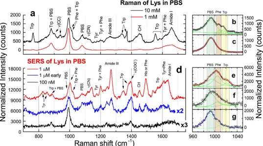 Figure 5.  LIQUISOR detection of Lysozyme. (a) Solution phase Raman spectrum of Lys in PBS at 