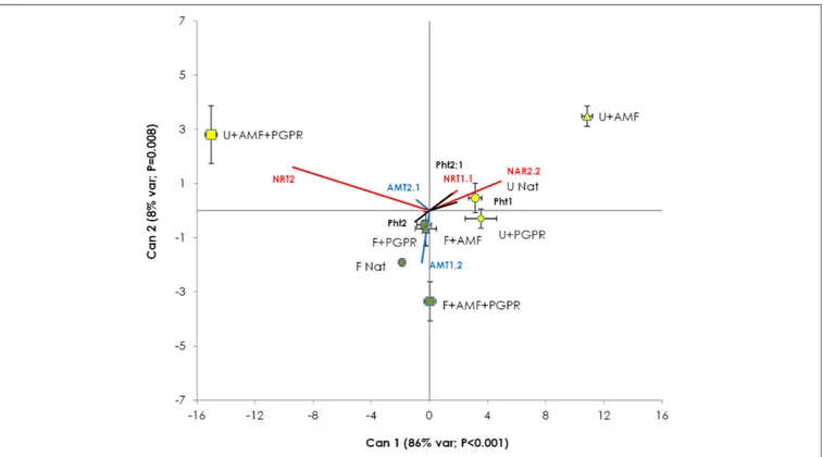 FIGURE 4 | Canonical discriminant analysis constructed with the gene expression data of T