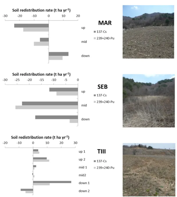 Fig. 5. Example of soil redistribution assessment for three speciﬁc transects with 137