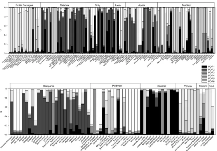 Fig. 1 Genetic structure of 186 Italian sweet cherry landraces, considering K = 6. Colours (black, dark grey, grey, light grey, grey white and white) indicate each of the six groups, defined by the K