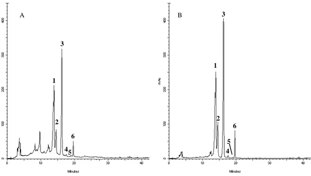 Figure 3.  Representative HPLC chromatograms of flavonoids derivatives of Jatropha curcas  L