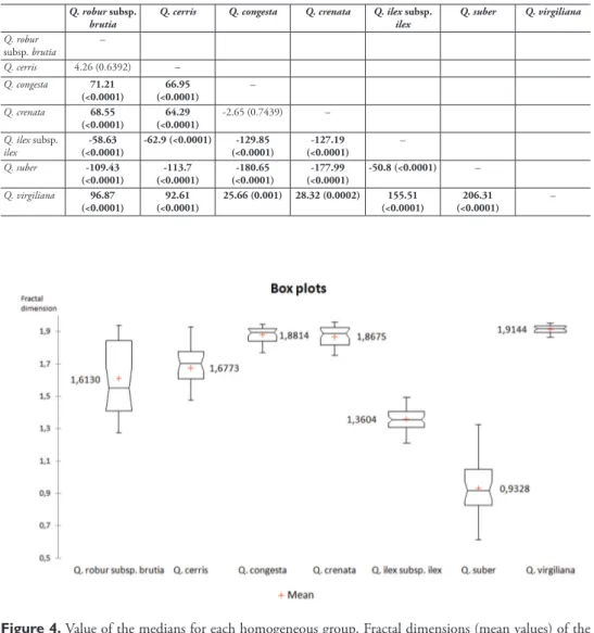 Figure 4. Value of the medians for each homogeneous group. Fractal dimensions (mean values) of the 