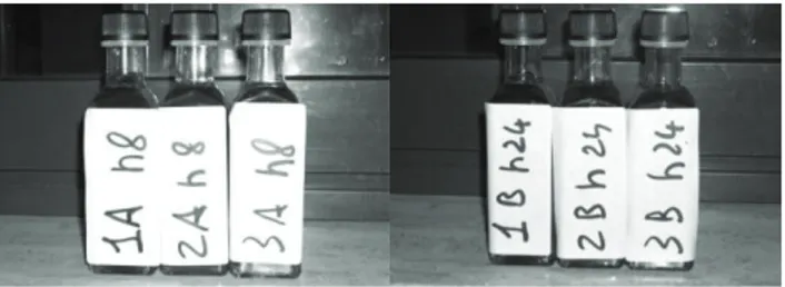 Figure 7. Some of the oil samples used for the analysis. 