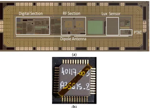 Figure  10.  (a) Microphotograph of the realized chip. The main sections of the microchip are 