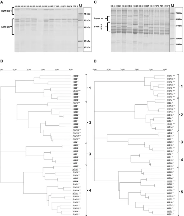 Figure 5. (A) SDS–PAGE analysis of reduced glutenin fractions from 12 samples. Glutenin classes were 