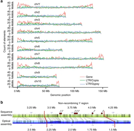 Fig. 1 Genome assembly and identi ﬁcation of the sex-linked region. a The distribution of full-length Gypsy and Copia-class retroelements and genes along the ten Asparagus of ﬁcinalis pseudomolecules in 1 Mb bins