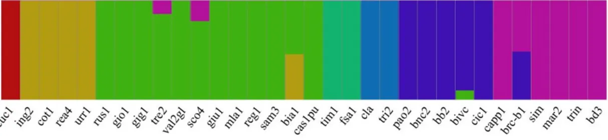 Figure 4. Admixture proportions of the wheat germplasm collection estimated by the FastStructure 