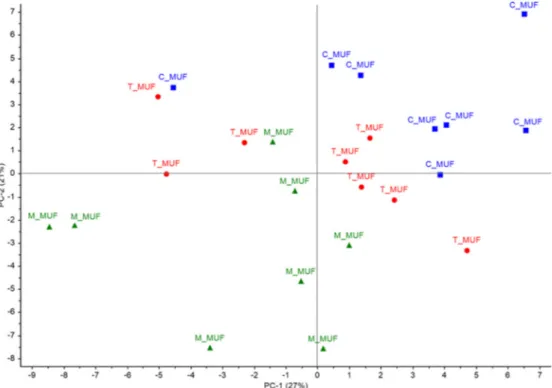 Figure 10. PCA Score plot of sensory evaluation of C_MUF, M_MUF and T_MUF muffin samples