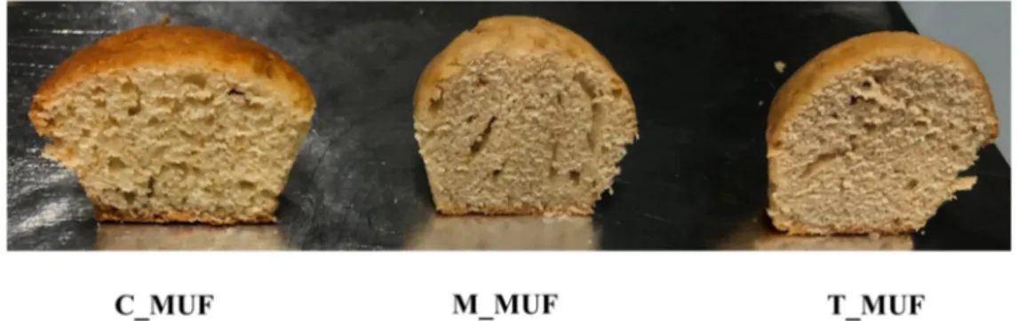 Figure 1. Representative samples of muffins obtained using the new leavening agents (M_MUF, 