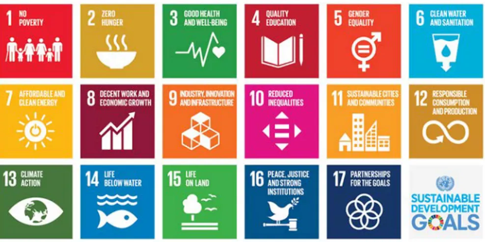 Figure 3:  Sustainable development goals [30]. 