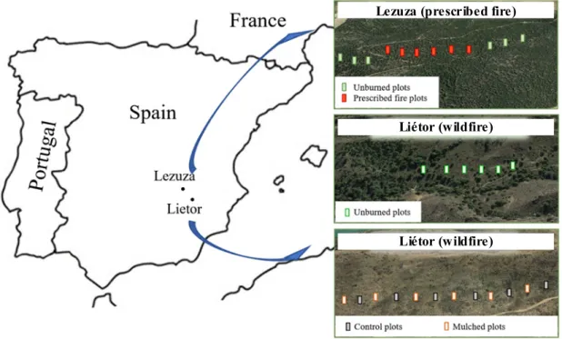 Figure 1. Location and layout of forest plots subject to prescribed fire and wildfire and monitored for  hydrological observations (Lezuza and Liétor, Castilla La Mancha, Spain)