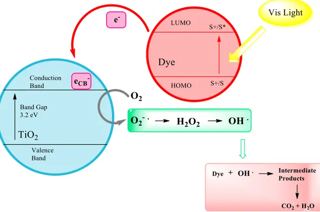 Figure 2.5: Photocatalytic mechanism under visible light irradiation with dye adsorbed on TiO2  surface