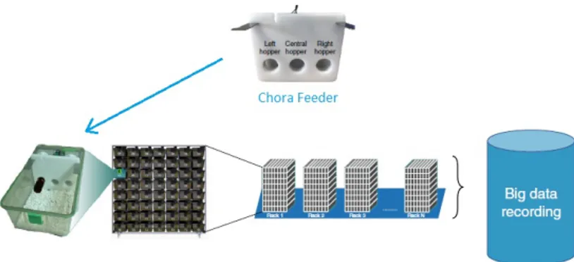 Figure 1.3: Home cage work-for-food system implemented using the Chora TM feeder [9]