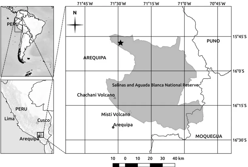 Fig 1. Location of the study area (indicated with a small star in the main map) within Salinas and Aguada Blanca National Reserve (Arequipa and Moquegua Departments, southern Peru)