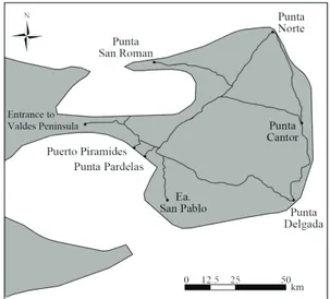 Figure 1. Map of the Valdes Peninsula, north- north-eastern Chubut Province, Argentina, showing the location of the roads (black lines) travelled for the roadside raptor surveys.