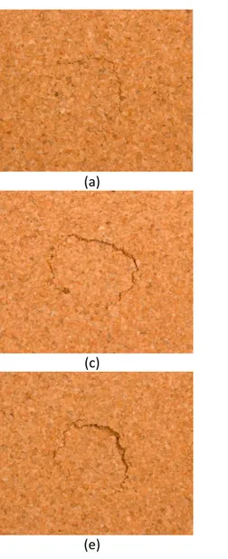 Fig. 6. Close-up views of the damage progression in the agglomerated cork impacted at: (a) 10 J (front face); (b) 15 J (front face); (c) 20 J (front  face); (d) 20 J (back face); (e) 30 J (front face); (f) 30 J (back face)