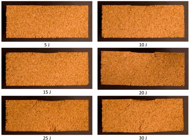 Fig. 7. Cross sectional views of bare cork impacted from 5 to 30 J. 