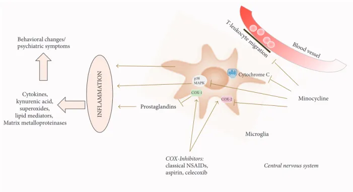 Figure 2: Pictorial diagram summarizing the effects of anti-inflammatory medication on neuroinflammation mediated by microglia