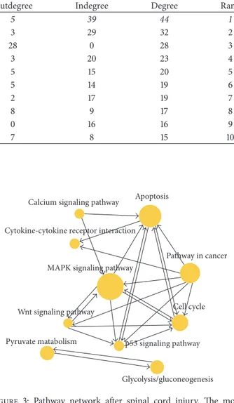 Table 3: The top 10 altered pathways of network analyses. The outdegree and indegree represent, respectively, the number of upstream and downstream signal pathways