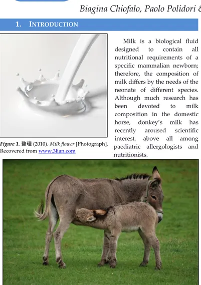 Figure  2.  Lily  M.  (2007).  A  female  donkey  with  her  foal  milking  in  Kadzidlowo  [Photograph]