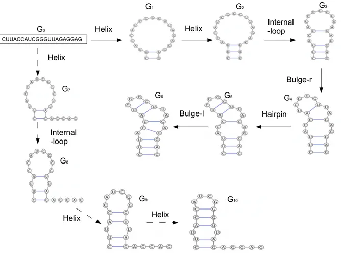 Figure 3: Two different derivations of RNA secondary structures starting from a primary structure G 0 , which can also be seen as a graph where only the edges representing backbone bonds among the nucleotides are present