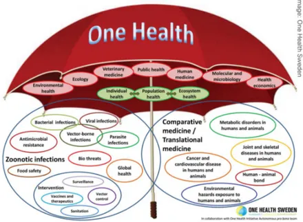 Figure	1:	Scope	of	One	Health	according	to	the	One	Health	Initiative	( www.onehealthinitiative.com) .	Image:	One	 Health	Sweden	