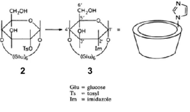 Table 1.1. Pseudo-first-order rate constants a  for the hydrolysis of p-nitrophenylacetate