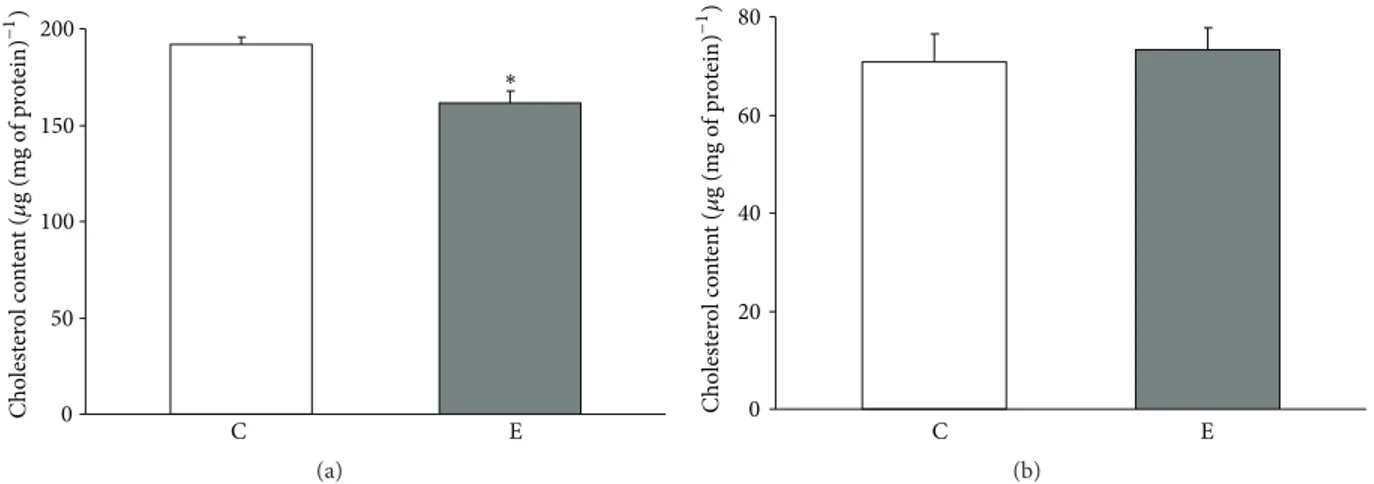 Figure 1: Mitochondrial cholesterol levels in controlled and exercised animals. Cholesterol was measured in crude mitochondria isolated
