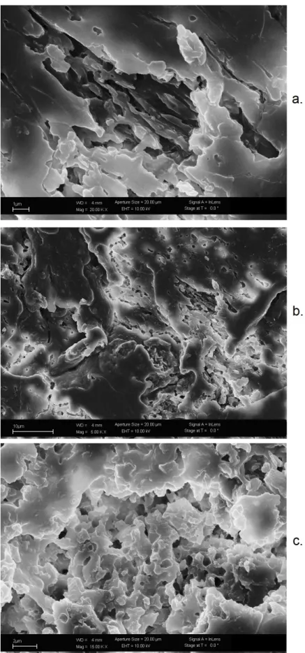 Figure 3: SEM micrographs of (a) NR/NS10 (b) NR/NS15  (c) NR/NS25 nanocomposites