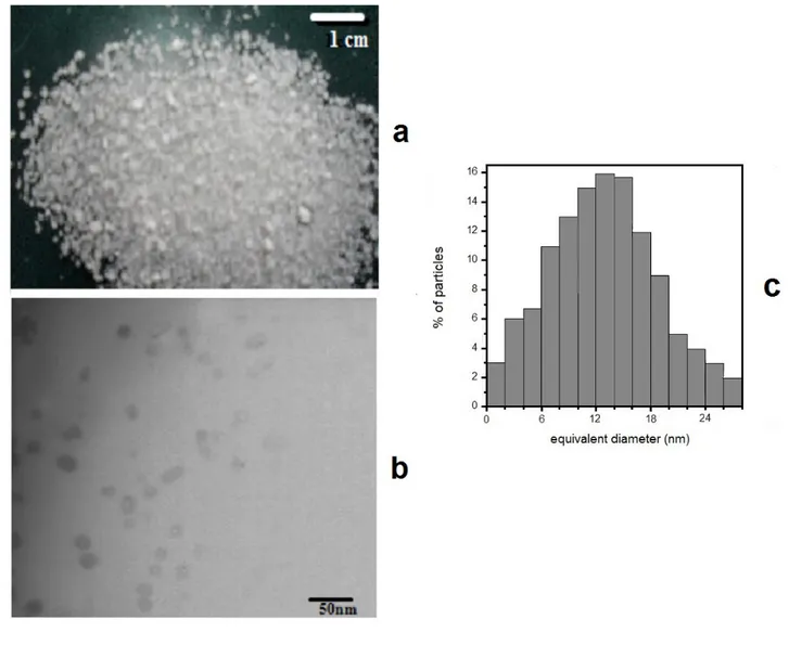 Figure 2: (a) Optical microscopy image of the nanosponges; (b) TEM micrograph of nanosponges;