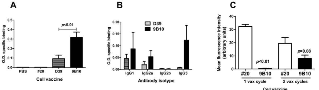 Figure 3. Anti-IGF1R and anti-HER2/neu antibodies elicited by cell vaccines co-targeting HER2/neu  and IGF1R