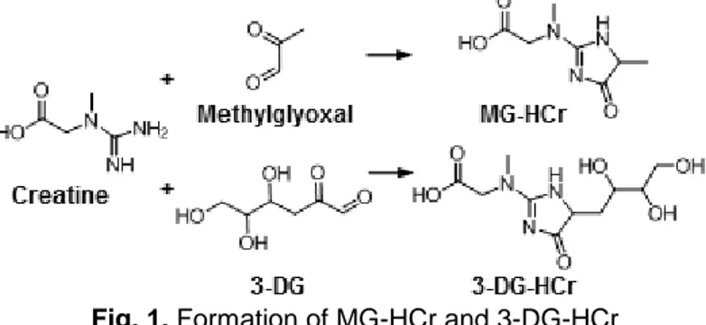 Fig. 1. Formation of MG-HCr and 3-DG-HCr 