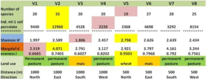 Figura  13.    Ricchezza  in  specie,  abbondanze  e  Indici  di  diversità del sito Italcementi