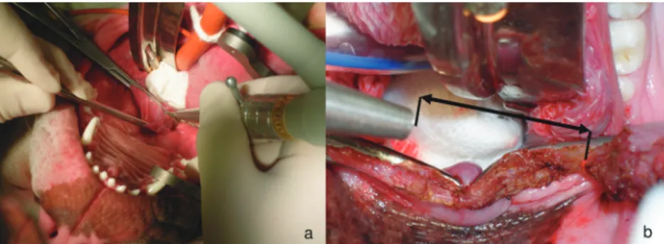 Figure 3. Soft palate resection at the focal beam distance: B-dog (a) and NB-dog (b).