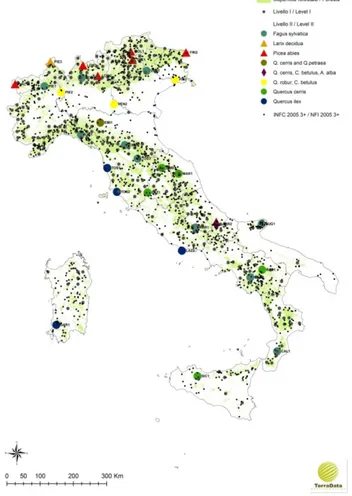 Figure 4.1 – Level I (small black dots) and Level II (large colored symbols) networks in Italy