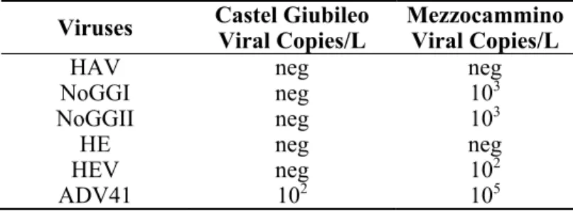 Table 3. Environmental results from the Castel Giubileo and Mezzocammino sites using   q-PCR (Hepatitis A Virus: HAV; Norovirus GGI: NoGGI; Norovirus GGII: NoGGII;  Human Enterovirus: HE; Hepatitis E Virus: HEV; Adenovirus 41: ADV41)