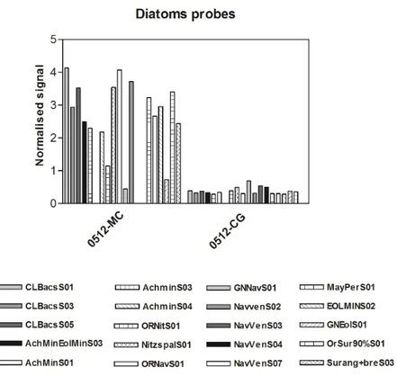 Figure 5. Diatom probes from the Mezzocammino and Castel Giubileo samples. Signal  intensities of each probe were normalized with Dunaliella RNA 12.5 µM probe signal