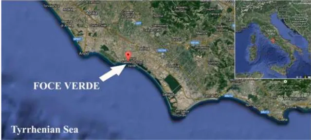 Figure  1.  Map  of  the  sampling  site  along  Tyrrhenian  coast  of  Lazio  Region;  The  white  arrow  indicates  the  site  of  Foce  Verde  (41°24.937'N  Latitude;  12°48.755'E  Longitude)  where the estuarine water was collected