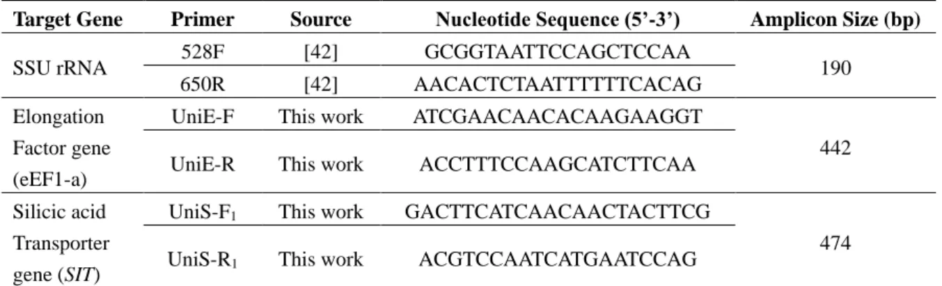 Table  1.  Universal  primers  for  DNA  amplification  of  genomic  fragments  of  eEF1-a  and  SIT genes